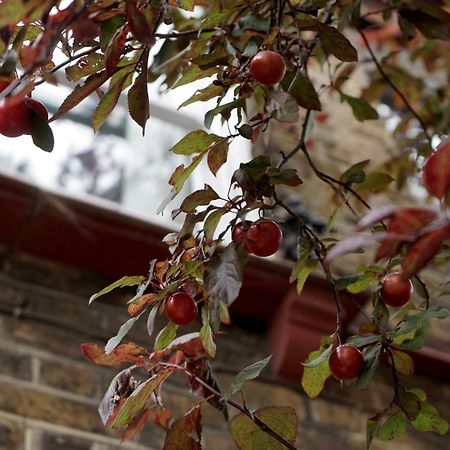 Beautiful London Home Sleeps 6, 2 Minutes To Metro 외부 사진
