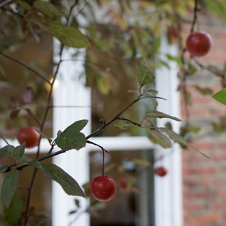 Beautiful London Home Sleeps 6, 2 Minutes To Metro 외부 사진