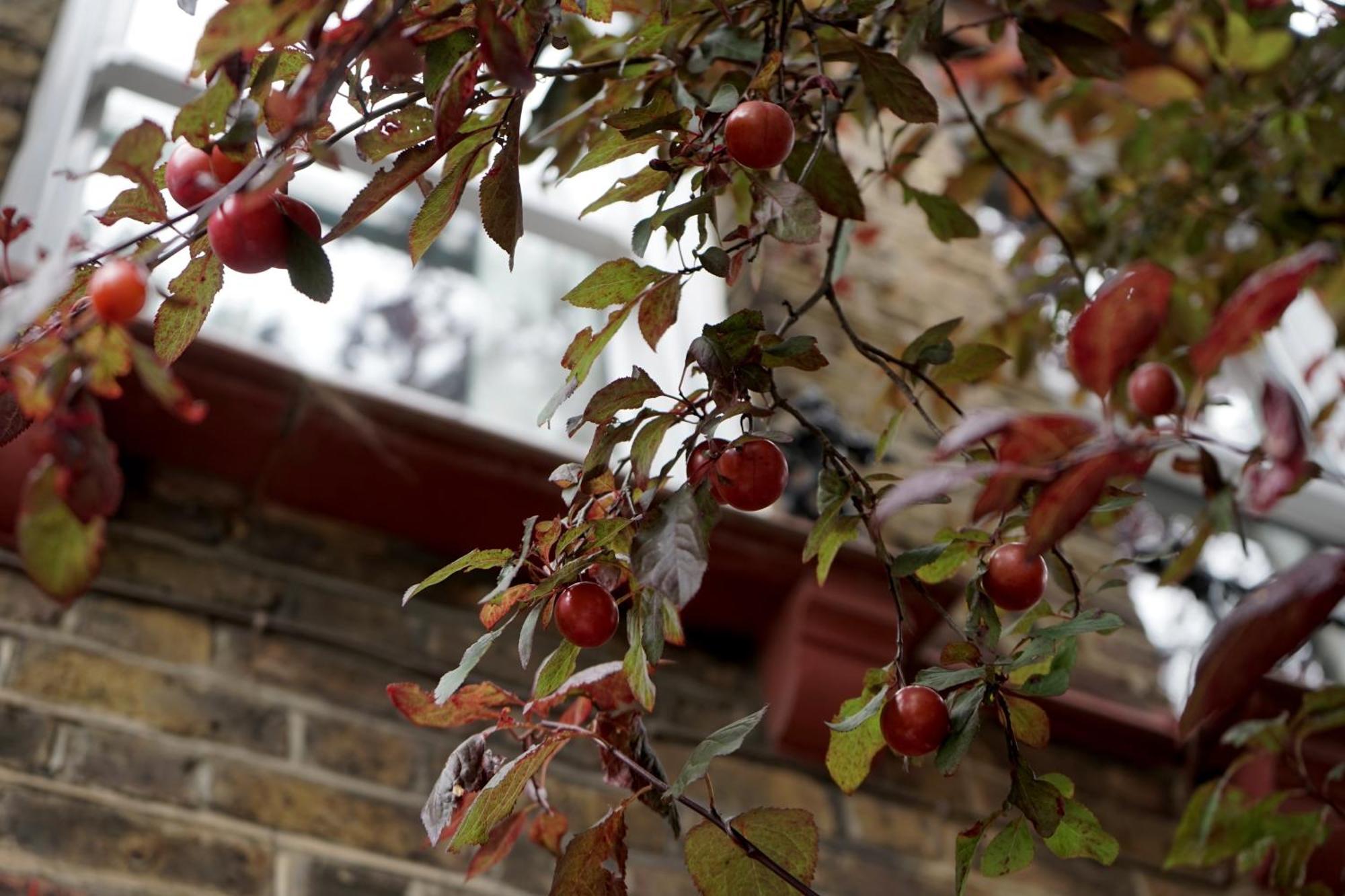 Beautiful London Home Sleeps 6, 2 Minutes To Metro 외부 사진