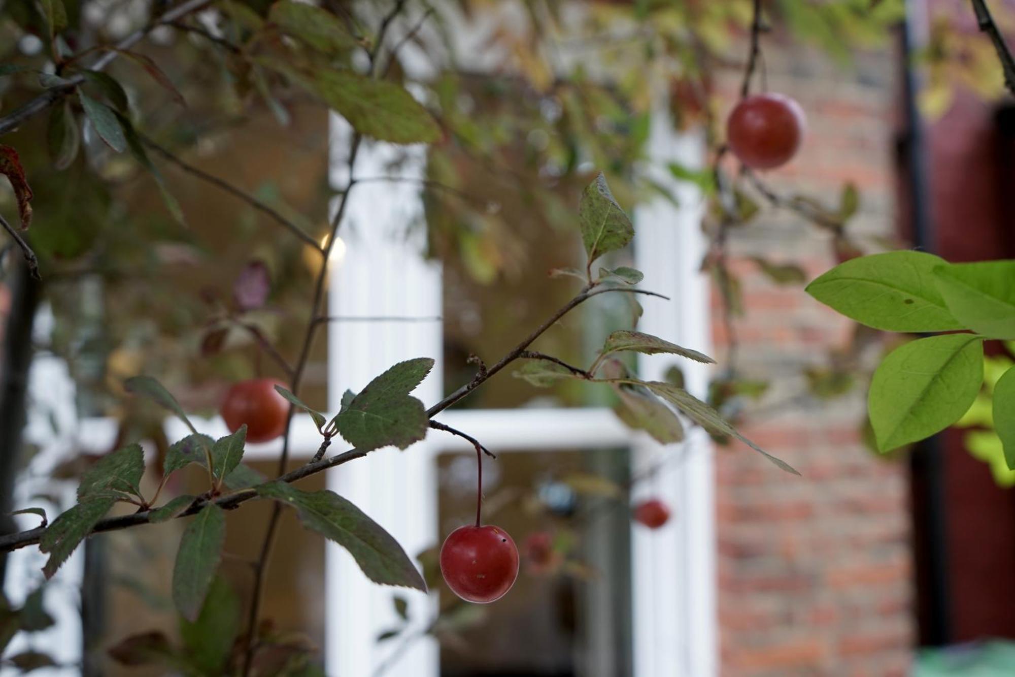 Beautiful London Home Sleeps 6, 2 Minutes To Metro 외부 사진